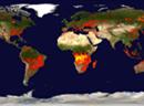 Orange heisst Feuer: Wald- und Buschbrände vom 10-19 Juli 2011