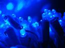 Die Wissenschaftler sind davon überzeugt, dass blaues Licht chemische Konservierungsmittel ersetzen kann.
