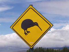 Neuseeland - Home of the Kiwi.