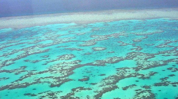 Weltkulturerbe Great Barrier Reef.